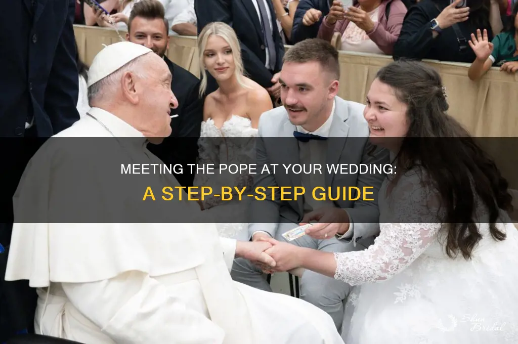 how to meet the pope wedding