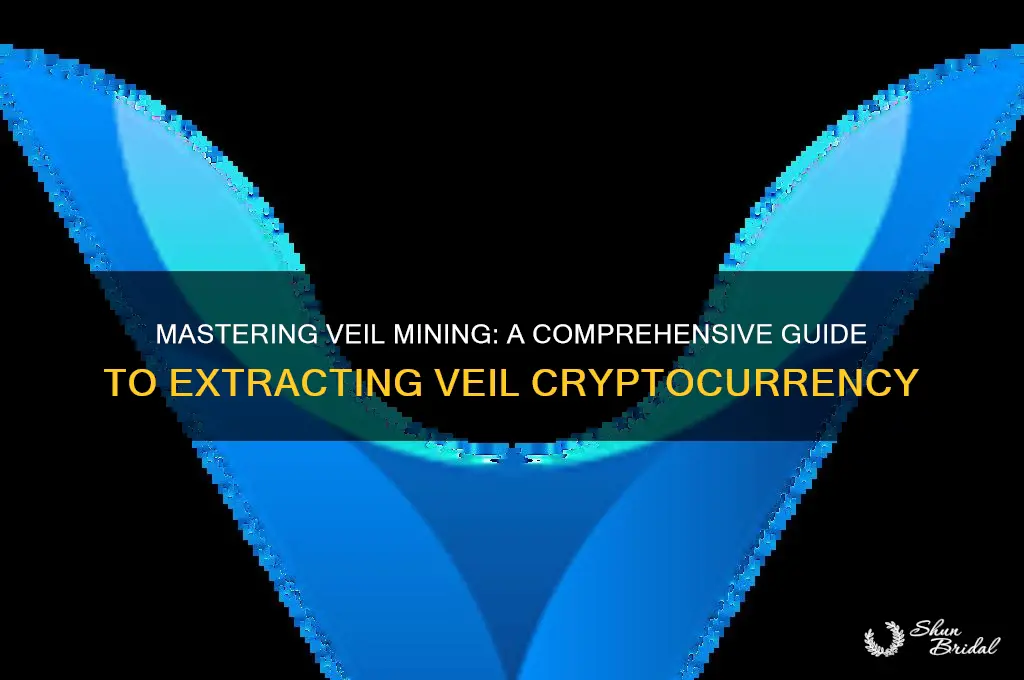 how to mine veil