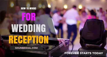 Music for your Wedding: Setting the Perfect Tone