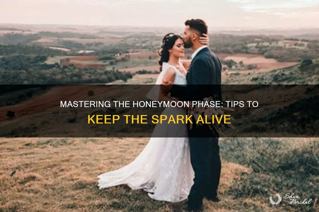 how to not fuck up honeymoon ohase