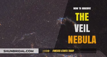 Exploring the Veil Nebula: A Beginner's Guide to Observing this Cosmic Wonder