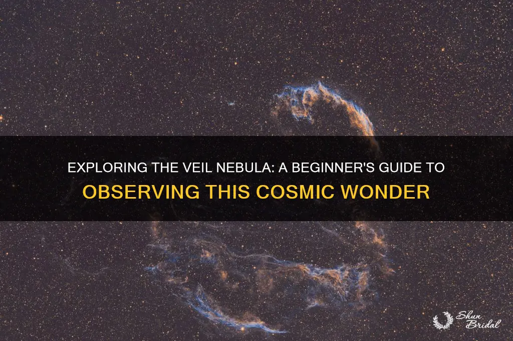 how to observe the veil nebula