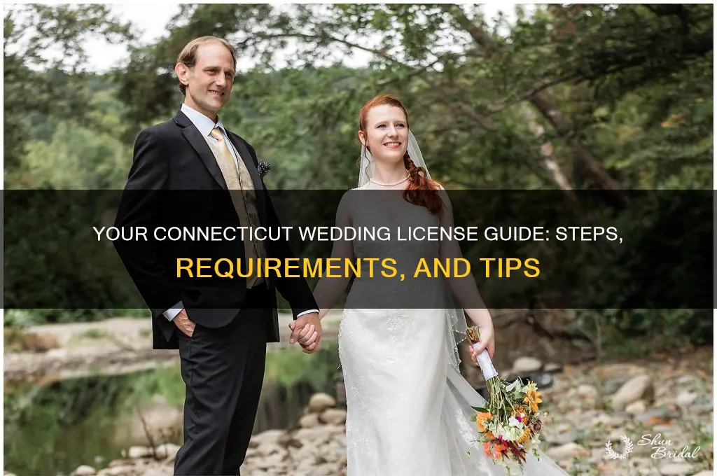 how to obtain a wedding license in Connecticut
