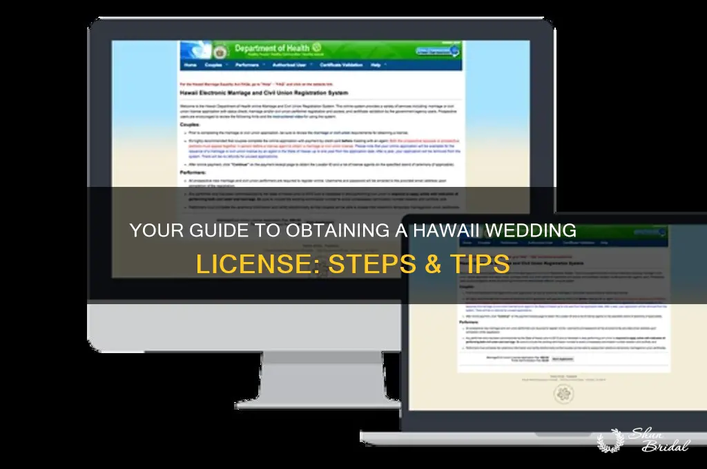 how to obtain a wedding license in hawaii