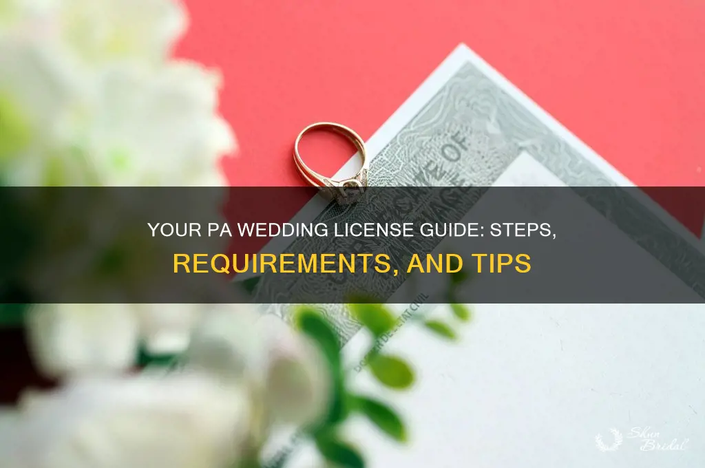 how to obtain a wedding license in pa