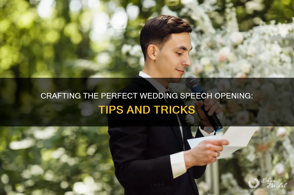 how to open a speech at a wedding
