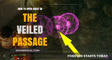 Unlocking the Veiled Passage Chest: A Step-by-Step Guide