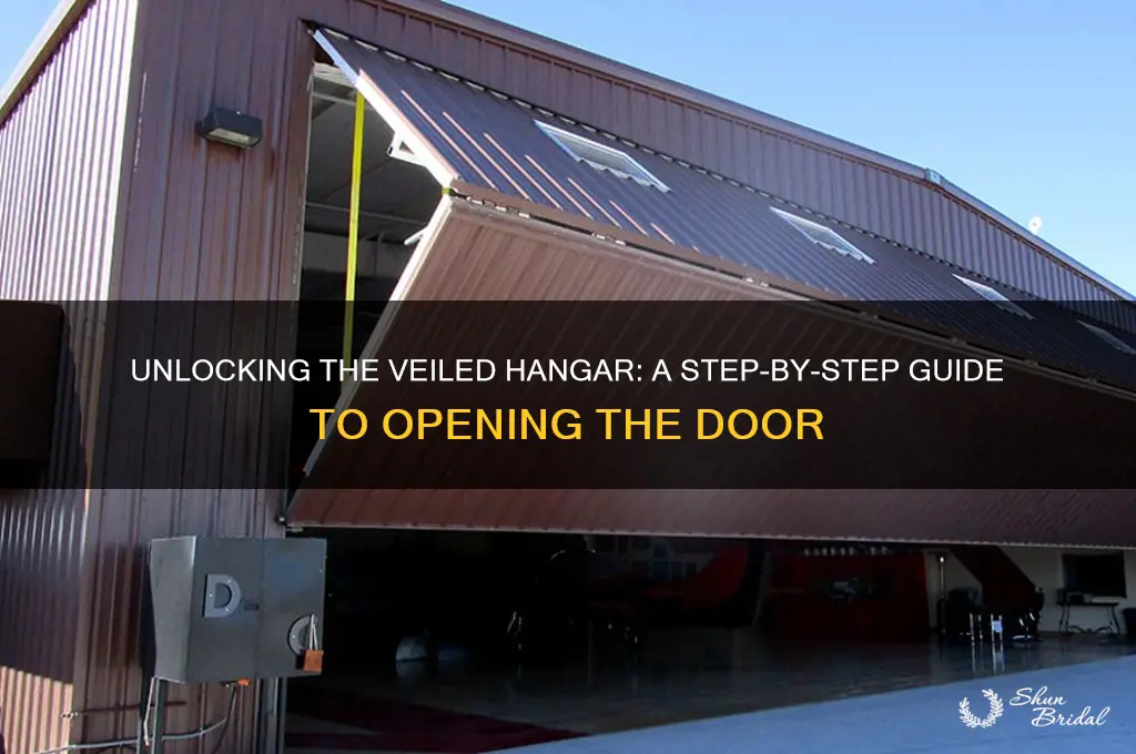 how to open door in veiled hangar