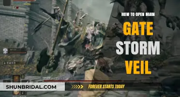 Mastering Stormveil Castle: A Guide to Opening the Main Gate