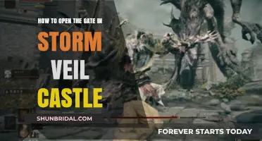 Unlocking Stormveil Castle's Gate: A Step-by-Step Guide to Access