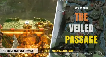 Unlocking the Veiled Passage: A Step-by-Step Guide to Accessing the Hidden Path