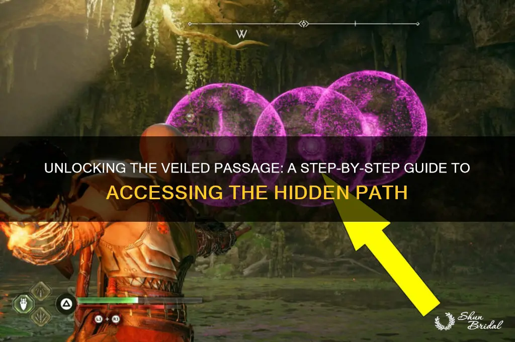 how to open the veiled passage