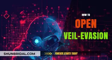 Mastering Veil-Evasion Techniques: A Comprehensive Guide to Unmasking Threats