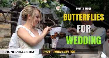Elegant Butterfly Release: A Step-by-Step Guide for Your Wedding Day