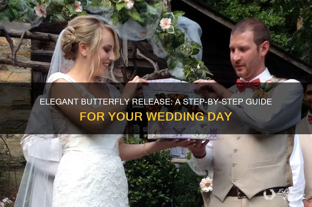 how to order butterflies for wedding