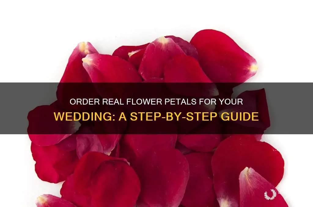 how to order real flower petals for wedding