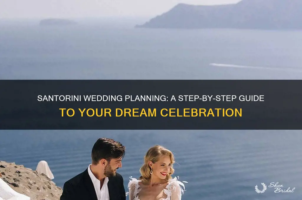 how to organise a wedding in santorini