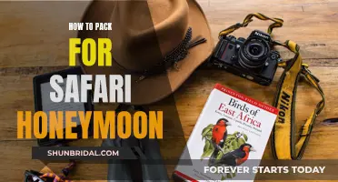 Honeymoon Adventure: Packing Tips for the Ultimate Safari Getaway