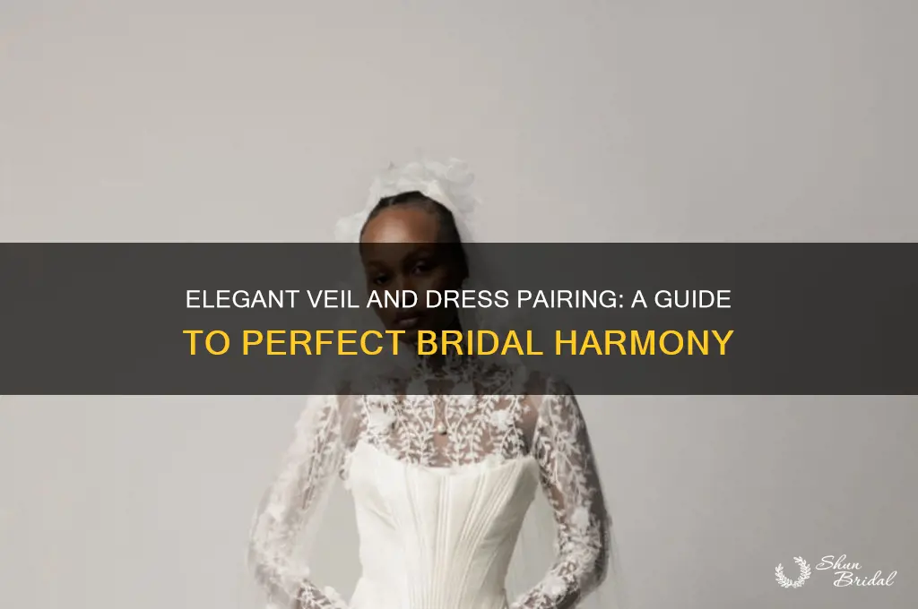 how to pair dress and veil