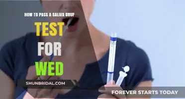 Quick Tips to Pass a Saliva Drug Test for Weed