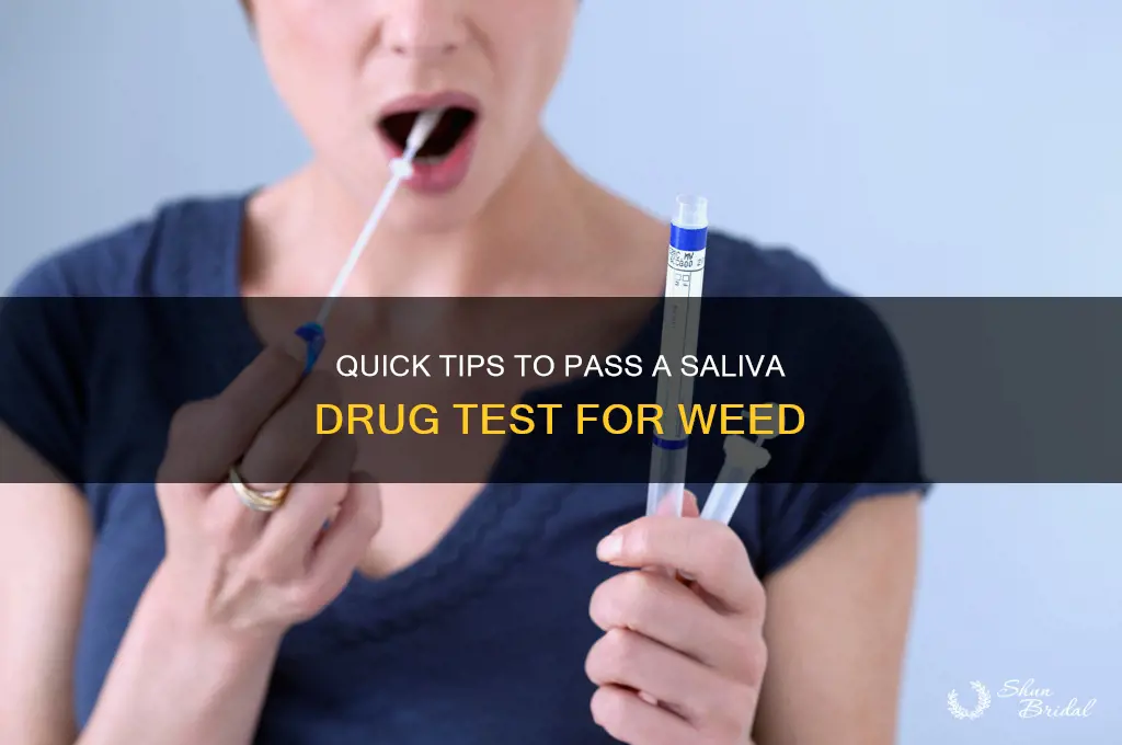how to pass a saliva druf test for wed