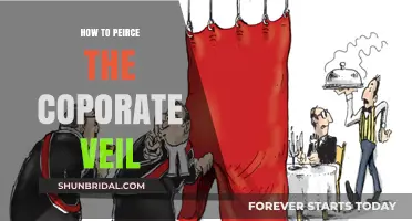 Piercing the Corporate Veil: Strategies to Hold Owners Personally Liable
