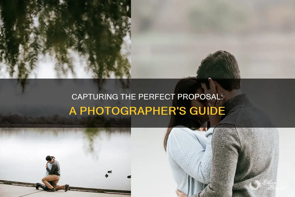 how to photograph a wedding proposal