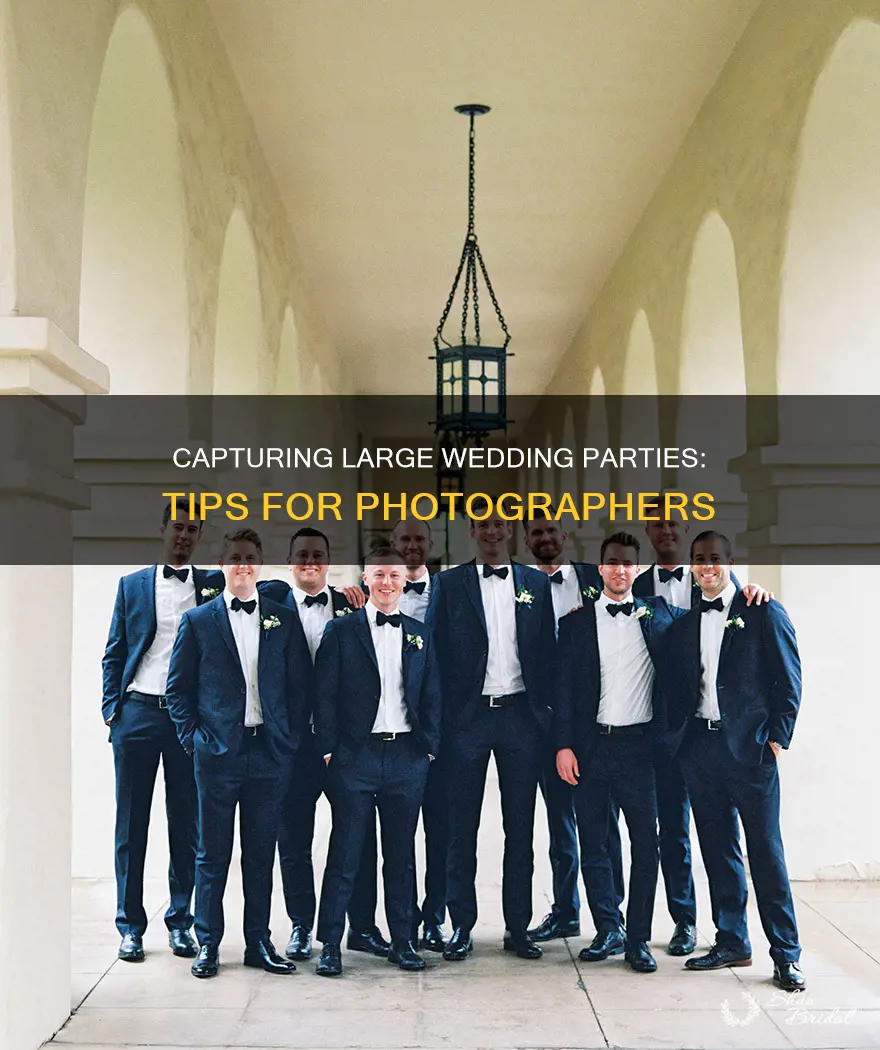 how to photograph large wedding parties