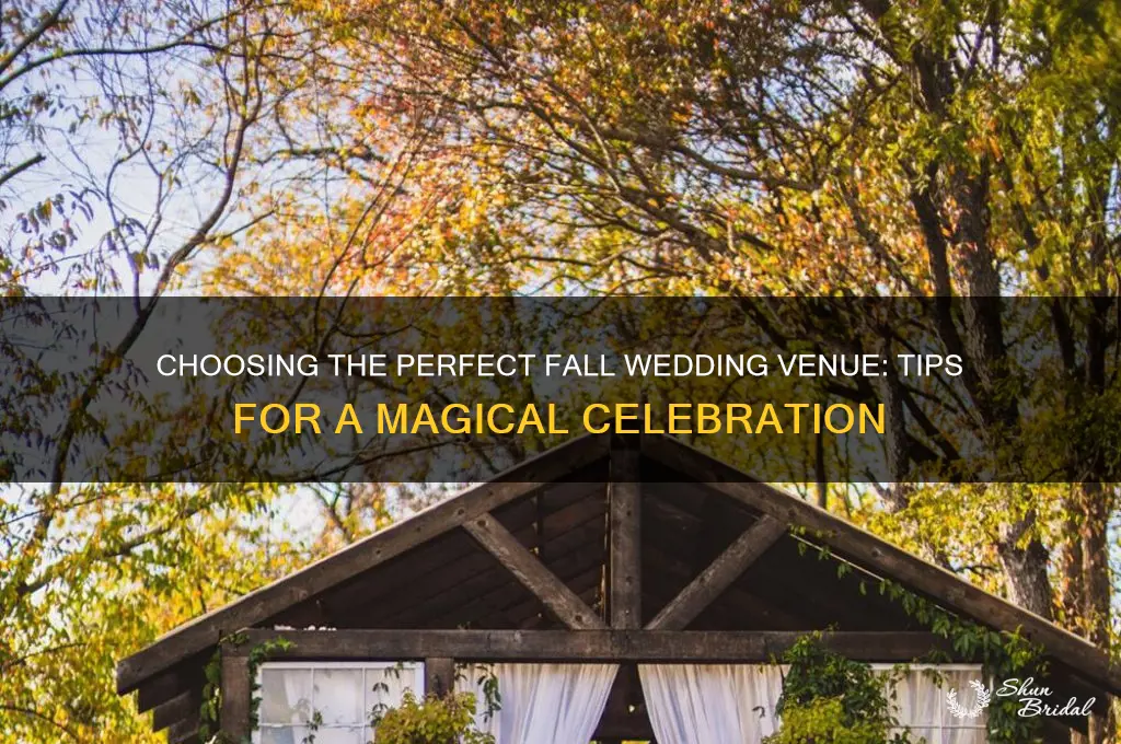 how to pick a fate for a fall wedding