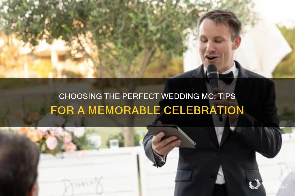 how to pick an mc for your wedding