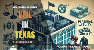 Piercing the Corporate Veil in Texas: Legal Strategies and Requirements