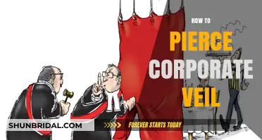 Piercing the Corporate Veil: Strategies for Holding Owners Accountable