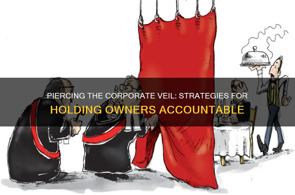how to pierce corporate veil
