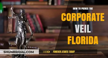 Piercing the Corporate Veil in Florida: Legal Strategies and Risks