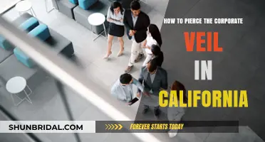 Piercing the Corporate Veil in California: Legal Strategies and Risks