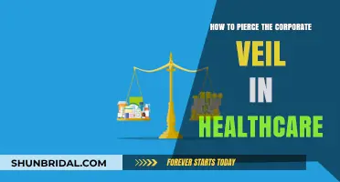 Piercing the Corporate Veil in Healthcare: Strategies for Legal Accountability