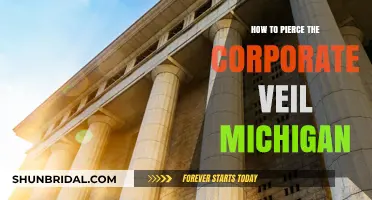 Piercing the Corporate Veil in Michigan: Legal Strategies and Risks