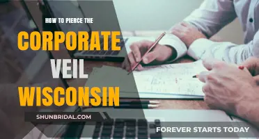 Piercing the Corporate Veil in Wisconsin: Legal Strategies and Risks