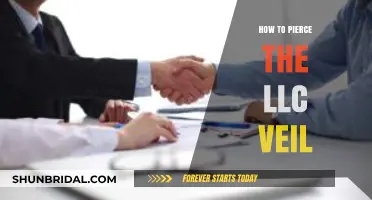 Piercing the LLC Veil: Essential Strategies for Legal Protection