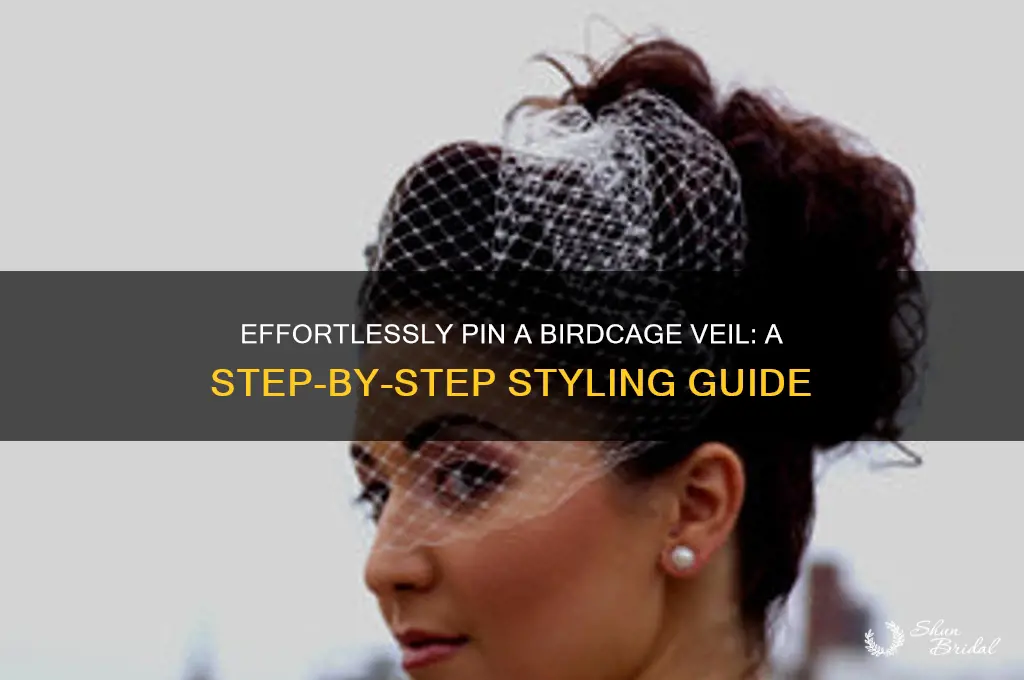 how to pin a birdcage veil