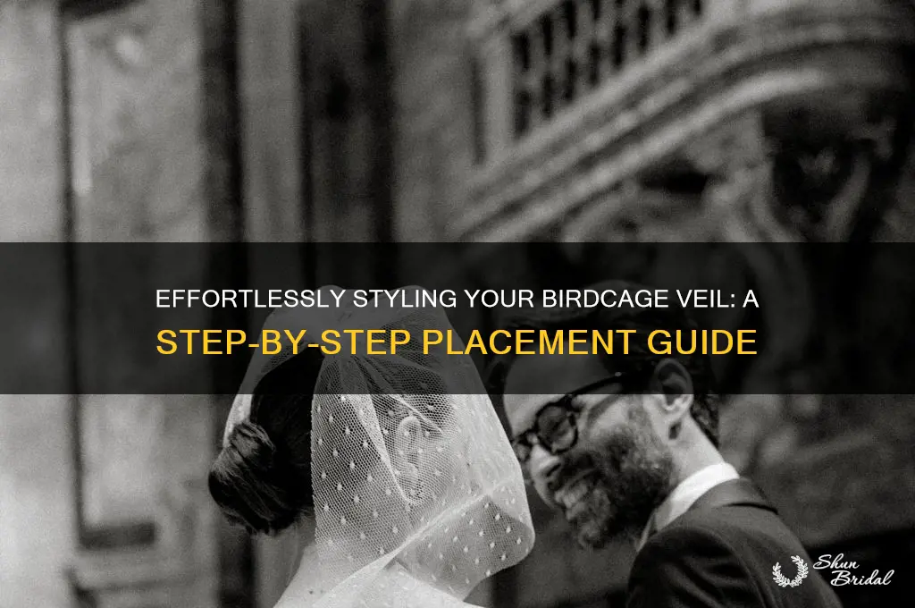 how to place a birdcage veil