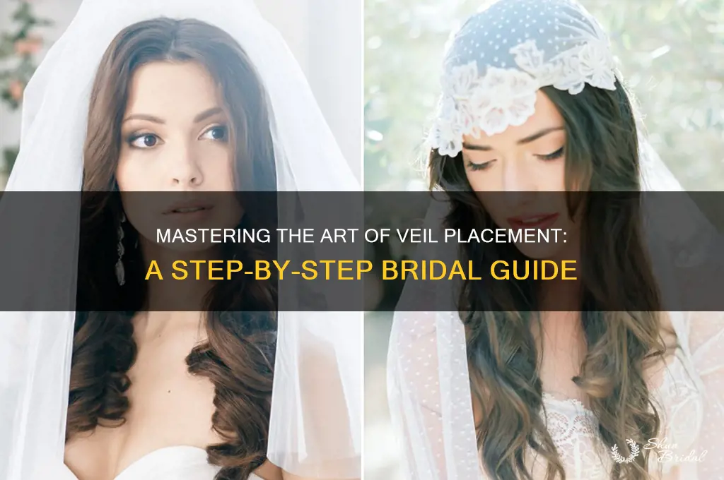 how to place a veil
