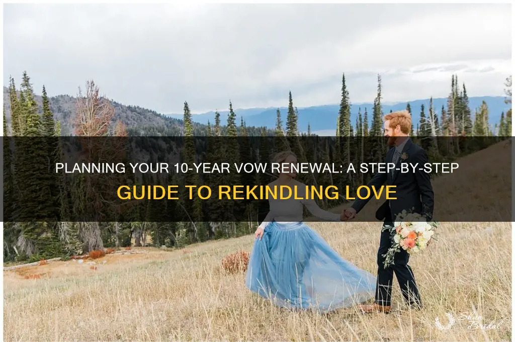 how to plan a 10 year vow renewal