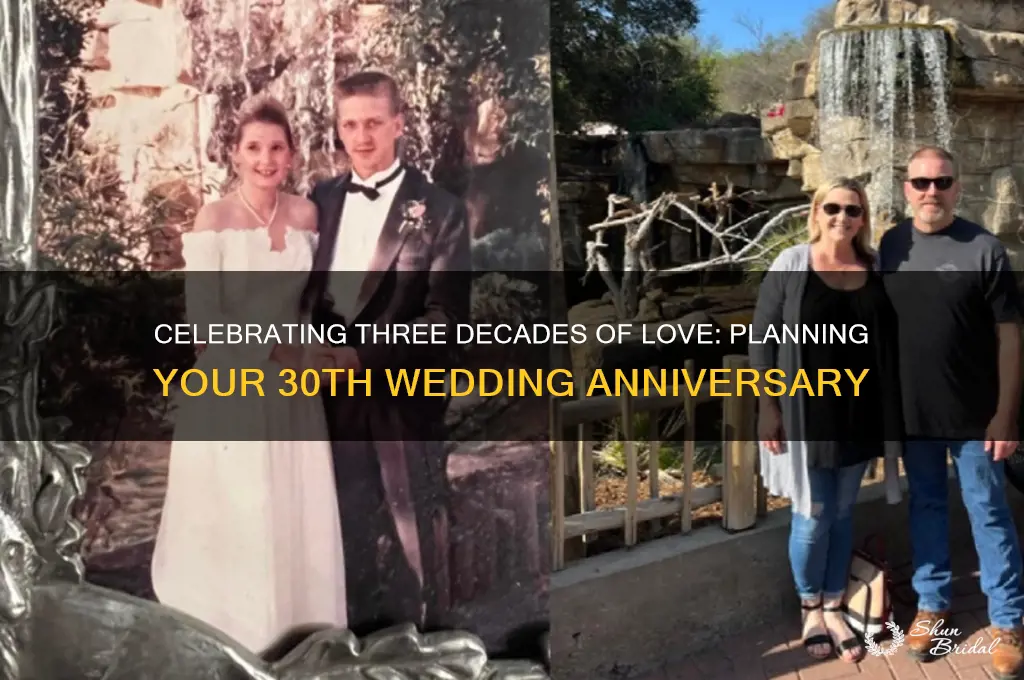 how to plan a 30 year wedding anniversary
