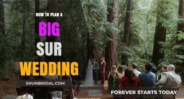 Big Sur Wedding Bliss: Planning Your Dream Coastal Celebration