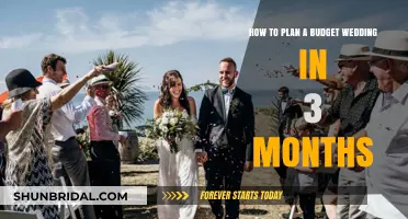 Quick and Easy: Planning Your Dream Wedding on a Budget in 3 Months