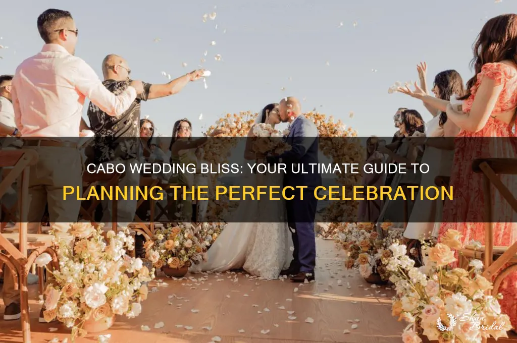 how to plan a cabo wedding