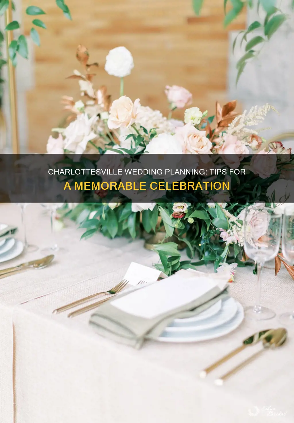 how to plan a charlottesville wedding