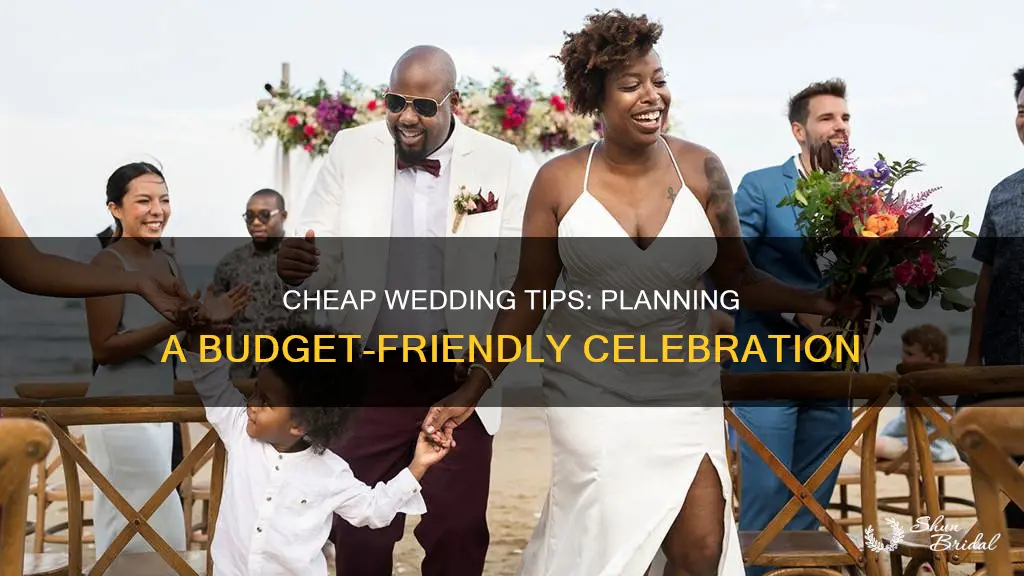 how to plan a cheap wedding and reception