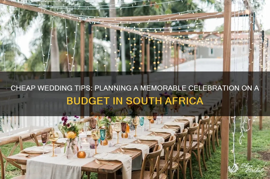 how to plan a cheap wedding in south africa